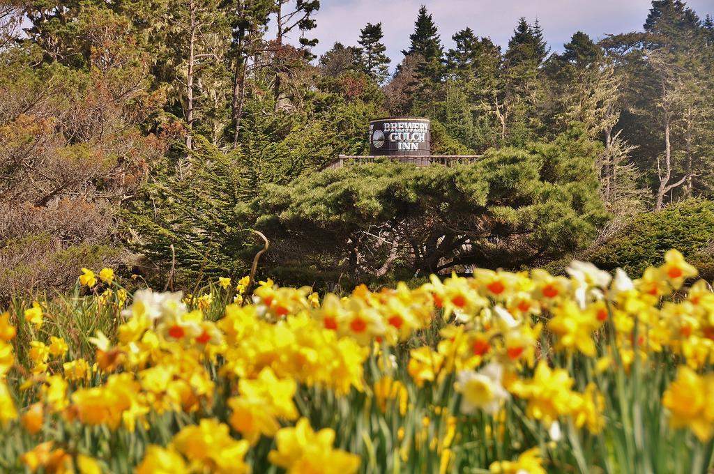 Brewery Gulch Inn & Spa Mendocino Exterior photo